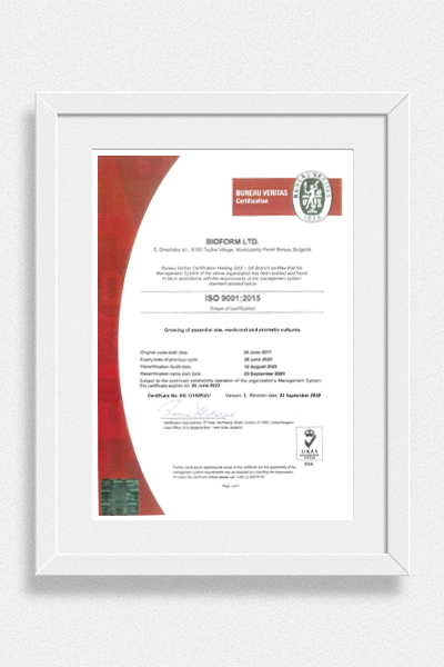 ISO 9001 — Qualitätsmanagement